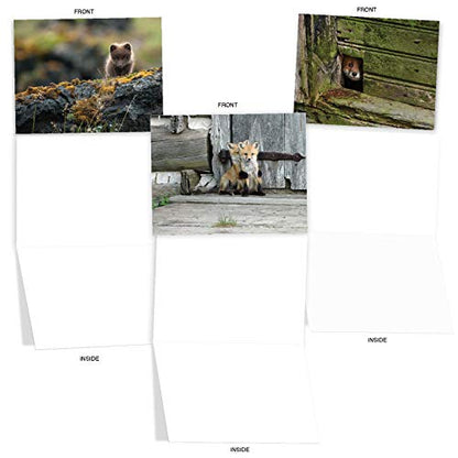 The Best Card Company - 10 Adorable Note Cards Blank (4 x 5.12 Inch) - Wildlife and Animal, Assorted Boxed Set - Little Foxes M6480OCB - style: Little Foxes