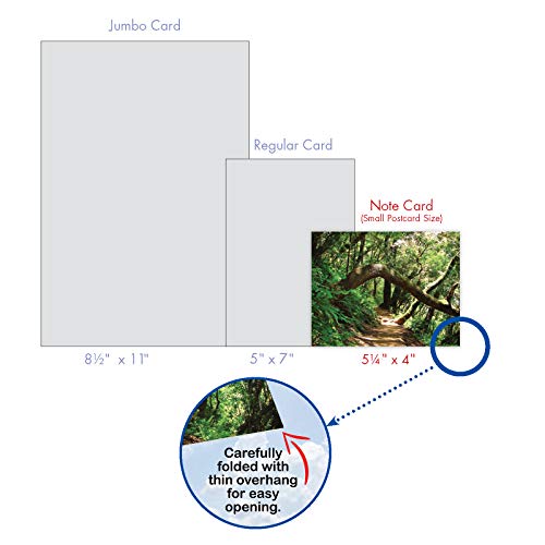 Best Card Co Box of 10 All Occasion Cards Blank (4 x 5.12 Inch) Scenic Landscape Cards Assorted Nature Trails for Men and Women M6467OCB-NB - style: Nature Trails
