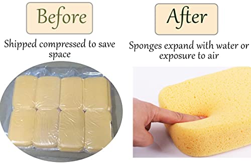 Yesland 10 Pcs Sponges, Perfect Synthetic Sponges for Painting, Crafts, Grout, Cleaning, Pottery, Clay - 7.5 x 5.5 x 2 Inches - size: 7.5 x 5.5 x 2 inches