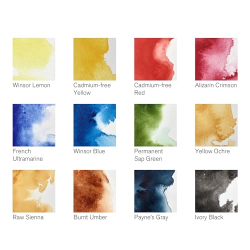 Winsor & Newton Professional Watercolor Paint Set, Black Box Set, 12 Half Pan - style: Black Box 12 Half Pan
