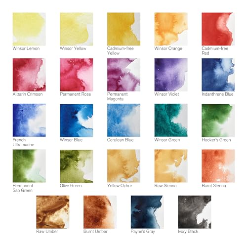 Winsor & Newton Professional Watercolor Paint Set, Lightweight Metal Box, 24 Half Pan - style: Lightweight Metal Box 24 Half Pan