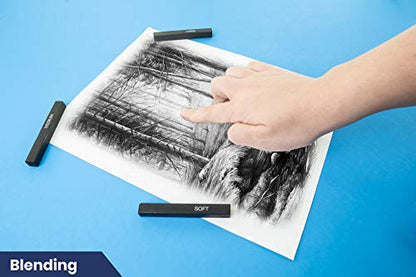 Pacific Arc Compressed Charcoal Sticks Hard 12 Pack for Drawing, Sketching, and Shading - style: Hard | 12 Pack