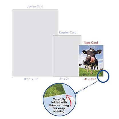 The Best Card Company - 10 Adorable Note Cards Blank (4 x 5.12 Inch) - Wildlife and Animals, Assorted Boxed Set - Cowlicks M4604OCB-B1x10 - style: Cowlicks
