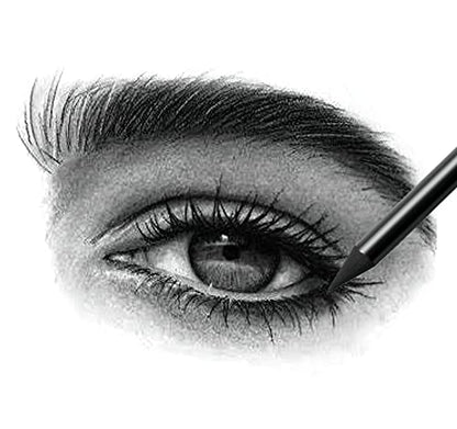 Artist Charcoal Sticks 24 PCS Professional Manga Sketch Drawing Charcoal Pencil Black/Pencil drawing sketch pencil without wood (Whole Lead Core 4B)