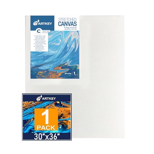 Gallery Wrapped Stretched Canvases for Painting 30x36 Inch 1-Pack, 16 oz Triple Primed Acid-Free 100% Cotton Blank Canvas, Rectangular Spline Canvas for Oil Paint Acrylics Pouring & Wet Art Media - size: 30"x36"(1-Pack), style: Exhibition