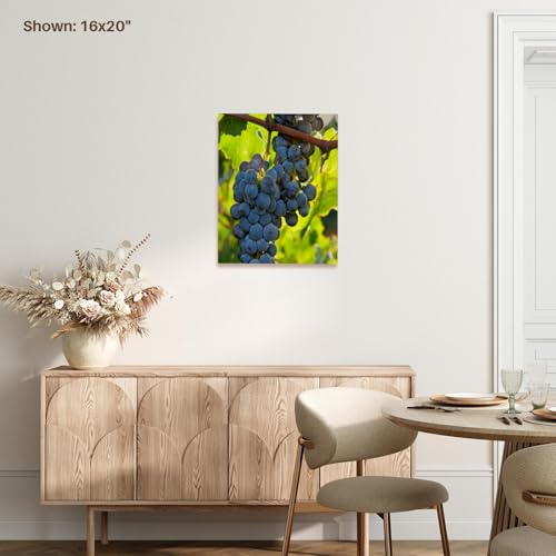 3dRose China, Xinjiang, Xinjiang Uyghur, Manas. Cabernet sauvignon grapes. Museum Grade Canvas Wrap 11x14 - size: 11"L x 14"W