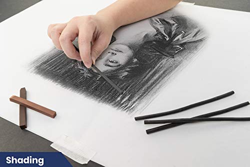 Pacific Arc Artist Vine Charcoal, Soft, Black 12 Pieces, Artist Vine Charcoal Sticks, Extra Soft and Smooth Drawing Charcoal - style: Soft | 12 Sticks
