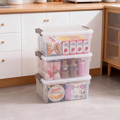 Citylife 17 QT Plastic Storage Bins with Lids Latching Stackable Storage Containers for Organizing Large Clear Storage Box for Garage, Craft, Toys, Closet, Home, 1 Pack - size: 1 Pack-17QT-N