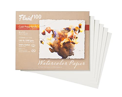 Fluid 100 Watercolor Paper, 8 x 10 Pochette, 10 Sheets, 140 lb (300 GSM) 100% Cotton Cold Press for Artist Painting and Wet Media - size: 8 x 10 (140 lb)