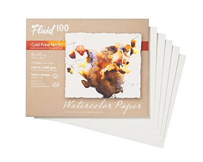 Fluid 100 Watercolor Paper, 8 x 10 Pochette, 10 Sheets, 140 lb (300 GSM) 100% Cotton Cold Press for Artist Painting and Wet Media - size: 8 x 10 (140 lb)