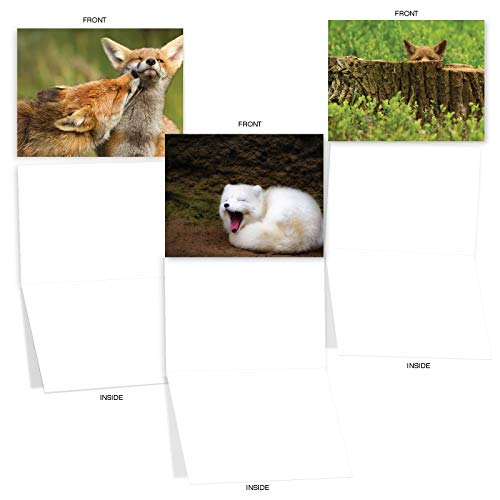 The Best Card Company - 10 Adorable Note Cards Blank (4 x 5.12 Inch) - Wildlife and Animal, Assorted Boxed Set - Little Foxes M6480OCB - style: Little Foxes