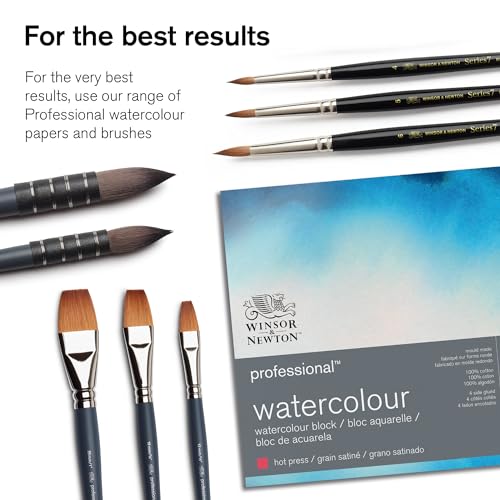 Winsor & Newton Professional Watercolor Paint Set, Black Box Set, 12 Half Pan - style: Black Box 12 Half Pan