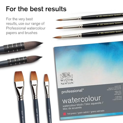 Winsor & Newton Professional Watercolor Paint Set, Black Box Set, 12 Half Pan - style: Black Box 12 Half Pan