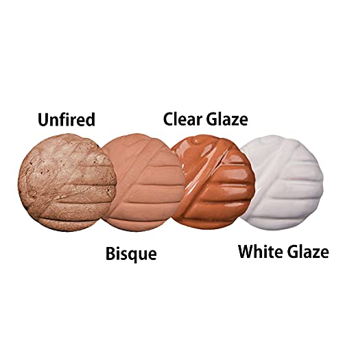 Old Potters Low Fire Pottery Clay (Cones 06-2) Art Modeling Clay, Ideal for Wheel Throwing and Hand Building, Pottery Clay for Sculpting, Beginners, and Advanced, 10 lbs Terra Cotta - color: Terra Cotta