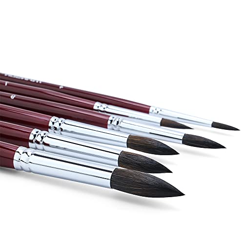 Transon Squirrel Hair Round Paint Brush Set for Watercolor Gouache Ink Acrylic Art Painting Short-Handle - size: 6PCS Squirrel Short-Handle