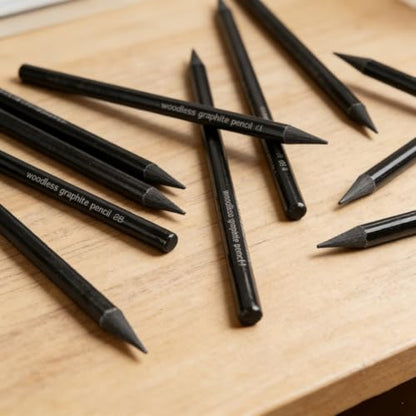 6Pcs Sketch Charcoal Pencils for Drawing Graphite Pencils Woodless Drawing Pencils for Sketching Shading Blending Artist Pencils for Beginners Artists Included HB 2B 4B 6B 8B EE