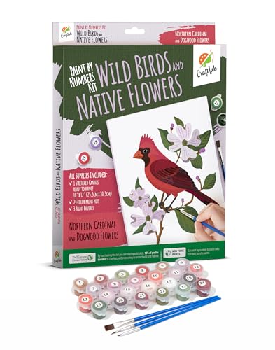 CraftLab Painting Kit - Wild Birds Paint by Numbers for Adults, 24 Acrylic Colors, Canvas, Brushes - color: Cardinal & Dogwood