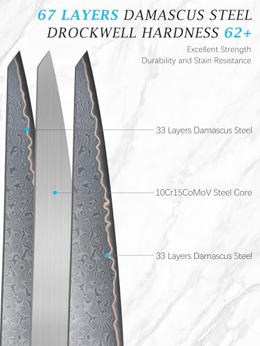 HOSHANHO Damascus Chef Knife 8 Inch, 67-Layer Damascus Super Steel Professional Kitchen Knife, Ultra Sharp Japanese Cooking Knives, Ergonomic Blue Resin Stabilized Wood Handle with Wood Gift Box - size: 8"