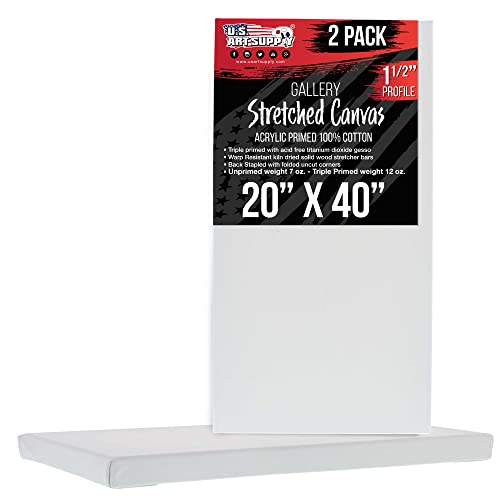 U.S. Art Supply Large Stretched Canvas for Painting 20x40 inch Gallery Depth 1-1/2" Thick, 2-Pack - 12oz Acrylic Gesso Triple Primed, Professional Artist Quality, 100% Cotton - Oil, Pouring Paint - size: 20" x 40"