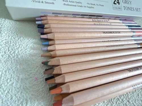 Soft Pastel Pencils 24 Colors Grey Tone Drawing Pencil Set Professional Grade Pastels Art Supplies for Drawing Sketching Coloring(Not Oil-Based) (Grey) - color: Grey