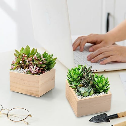 GNIEMCKIN 24 Pack 4 x 4 Inch Wooden Box, Unfinished Small Square Wooden Box, Rustic Wood Boxes, Organizer Storage Wood Boxes for DIY Crafts, Collectibles, Succulents, Desktop Drawer Decor - size: 24 Pack