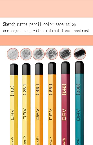 Pencil Set for Drawing,Sketching Pencils,Artist Pencils,Drawing Supplies For Adults,Matte Pencil:HB, 2B, 4B*2, 6B*2, 14B*2, 20B*2.(C.10 pieces)