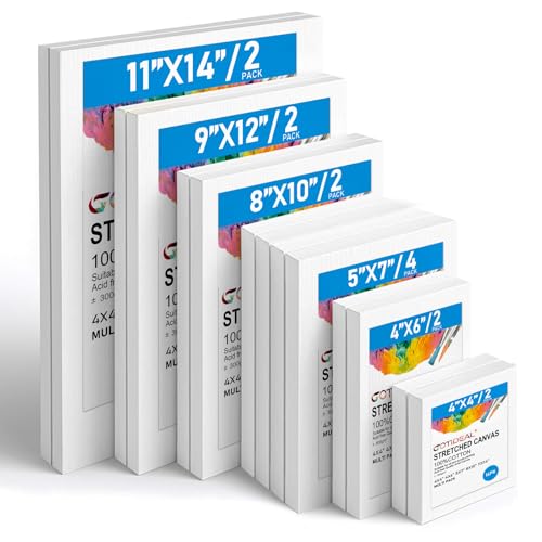 Gotideal Canvas for Painting, 14 Pcs Muti Pack Stretched Painting Canvas, Blank Paint Canvases for Acrylic, Oil, Art Supplies for Artists, Adults 4x4,4x6, 5x7, 8x10,9x12, 11x14 Set of 14 - color: White, size: Multi Pack-14 Pcs