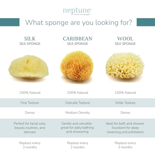Neptune Caribbean Sea Sponge for Face & Body, Extra Large Approx. 7-8 Inches, Ultra-Soft Bath Sponge, Eco-Friendly & Biodegradable