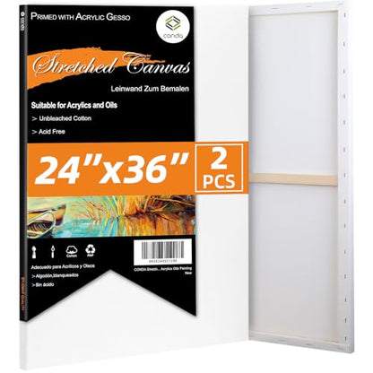 CONDA 24x36 inch Stretched Canvas for Painting, 2 Pack Primed Large Canvas, Primed Acid-Free Cotton 5/8 Inch Profile Value Bulk Pack for Acrylics, Oils Painting - size: 24"x36",2pack