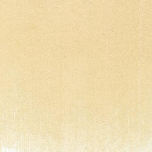 PanPastel Artist Pastels by GOLDEN, Burnt Sienna Tint, 2.44” / 62mm Pan Diameter, Professional Artist Pastels, Unique Pan Format (cake-like) - color: Burnt Sienna Tint, size: 1 Count (Pack of 1)