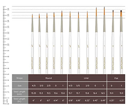 MyArtscape Supplies Paint Bundle - Oil Paint Set - 12ml x 24 Tubes - Lightfast - Heavy Body - Oil-based Colors - with Artist Quality Miniature Paint Brushes with Holder
