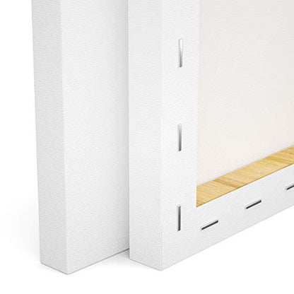 GOTIDEAL Stretched Canvas, 12x16 Inch Set of 6, Primed White - 100% Cotton Artist Canvas Boards for Painting, Acrylic Pouring, Oil Paint Dry & Wet Art Media - color: White, size: 12"x16"