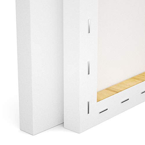 GOTIDEAL Stretched Canvas, 8x10 Inch Set of 10, Primed White - 100% Cotton Artist Canvas Boards for Painting, Acrylic Pouring, Oil Paint Dry & Wet Art Media - color: White, size: 8"x10"