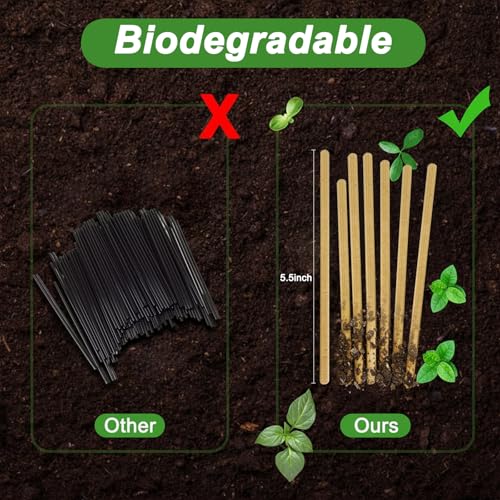 Guyuyii 500 Pcs 5.5" Coffee Stirrers Individually Wrapped with Storage Box | Wooden Stir Sticks for Offices, Coffee Bars, Cafes | Paper Wrapping, Compatible with Hot Drinks, Cold Drinks, Cocktails - size: 5.5 Inch (500 Count）