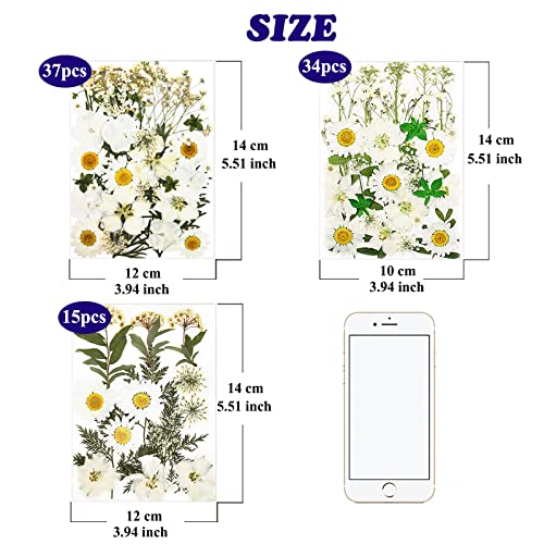 86Pcs White Pressed Dried Flowers Real Natural Leave for DIY Resin Molds Candle Jewelry Nail Crafts Gifts - color: White