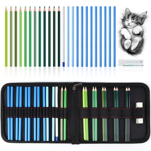 Mifuner Professional Drawing Set, 12 Colored Pencils & 12 Graphite Pencils with Eraser & Case, Art Supplies for Sketching Shading Blending, Gifts for Artists Adults Beginners.Green Black - color: Set-Green
