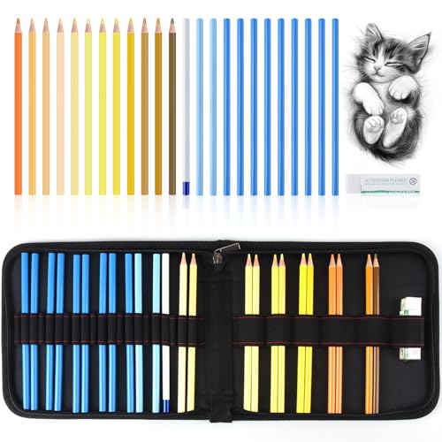Mifuner Professional Drawing Set, 12 Colored Pencils & 12 Graphite Pencils with Eraser & Case, Art Supplies for Sketching Shading Blending, Gifts for Artists Adults Beginners.Yellow Black - color: Set-Yellow