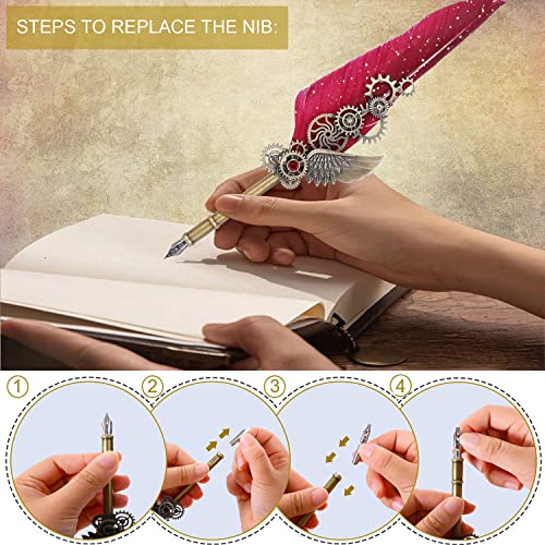 NC Feather Calligraphy Set, Quill Pen Ink Set Includes 5 Bottles of Ink and 6 Replaceable Stainless Steel Nibs, Calligraphy Pen for Writing, Writing Letters, Signing Invitations Etc (Red) - color: Wine Red