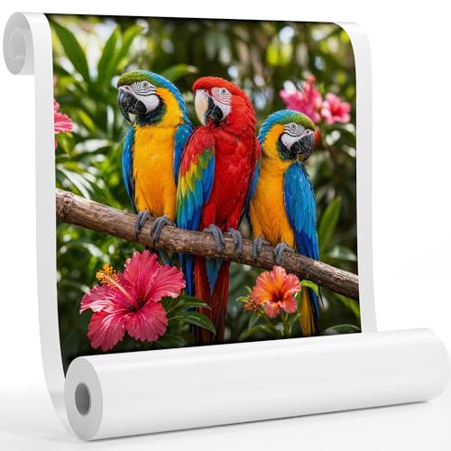 Premium Canvas Roll for Wide Format Printers, Quick Dry Water Resistant for Fine Art Reproduction, Commercial Printing, Studio Photography and Gallery Wrap, Glossy Polyester 300 GSM 16 Mils 3" Core - color: 1 roll, size: 36"x100' 300GSM