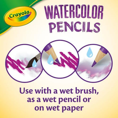 Crayola Classpack Watercolor Pencils, 240ct, 20 Each of 12 Colors, Teacher Appreciation Gifts, Classroom Must Haves & Essentials - style: Watercolor