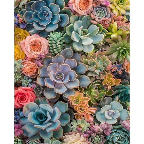 xackcme Succulent Paint by Numbers for Adults - Paint by Number Succulents on Canvas Without Frame, DIY Plant Oil Painting for Gift Home Wall Decor (16x20 inch) - color: MT22553