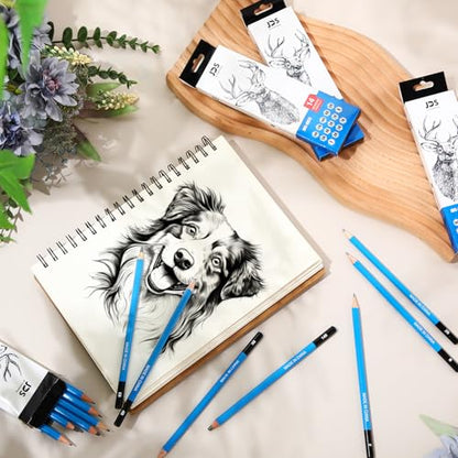 112 Pcs Graphite Sketch Pencil Set Professional Drawing Sketching Pencil Set (14B - 7H) Art Graphite Pencils Artist Pencils Drawing Pencils for Beginners & Pro Artists