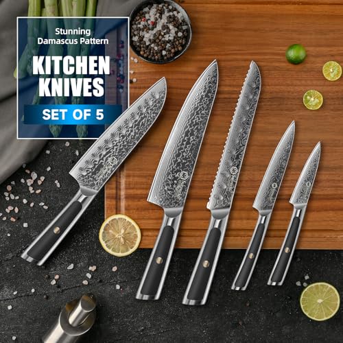 Sunnecko Damascus Kitchen Knife Set 5 Piece, Sharp Chef Knife Set Professional Kitchen Knives Sets Full Tang with Gift Box - size: Set of 5