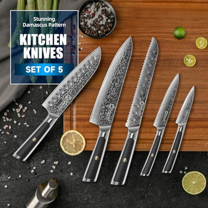 Sunnecko Damascus Kitchen Knife Set 5 Piece, Sharp Chef Knife Set Professional Kitchen Knives Sets Full Tang with Gift Box - size: Set of 5