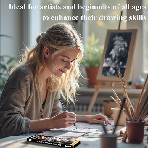 Aenir Charcoal Pencils for drawing, Set of 12, Charcoal Drawing Pencils (S-Soft, Soft, Medium, Hard), Art Supplies for Artist, Sketching, Shading - color: Black