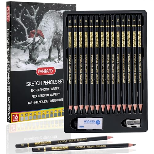 PANDAFLY Drawing Sketch Pencil Set, 16 Piece, 4H to 14B Graphite Pencils | Includes Erasers and Pencil Sharpener, Pro Art Pencil Kit for Drawing, Sketching, Shading, Ideal for Artists and Beginners