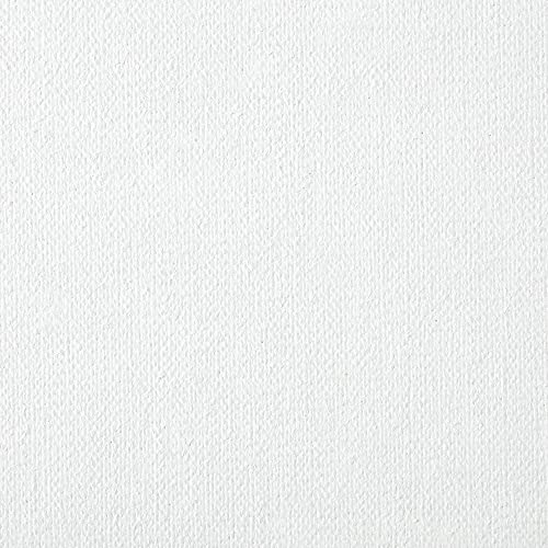 Centurion Deluxe Professional Acrylic Primed Linen Pre-Stretched Canvases, 11oz Linen - 30"x40", Box of 3, 1.5" Deep - Kiln-Dried Stretchers, Back Stapled, Canvas for Painting, Museum Archival Quality - size: 24"x48"