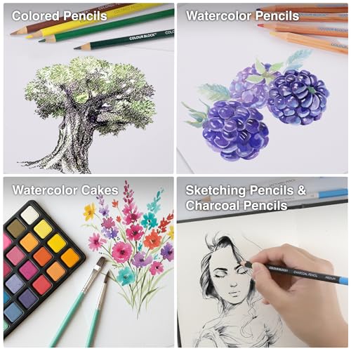 COLOUR BLOCK 181-Piece Mixed Media Art Set in PU Leather Case for Drawing Sketching Painting, Soft Oil Pastels, Acrylic Watercolor Paints, Pencils, Art Supplies Kit for Artists, Professional, Adults, Beginner