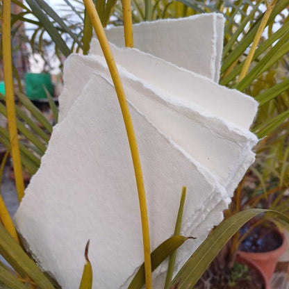 A6-400 GSM / 25 Sheets - Rough/Textured Drawing/Sketching Paper 4x6 inches - Handmade/Deckle Edge Paper Made from Virgin Egyptian Cotton - Off-White by Deckle Papers - size: 4x6"