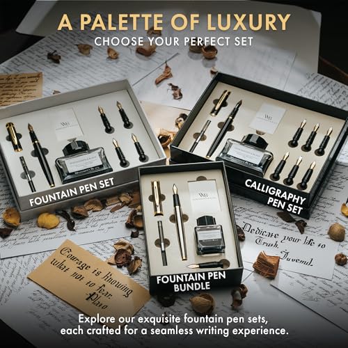 Wordsworth & Black Fountain Pen Set,18K Gilded Medium and Extra Fine Nib,25ML Black Ink Bottle,6 Ink Cartridges,Refill Converter,Gift Box,Smooth Writing Pens [Silver Gold],Gift Set for Men and Women - color: Silver Gold